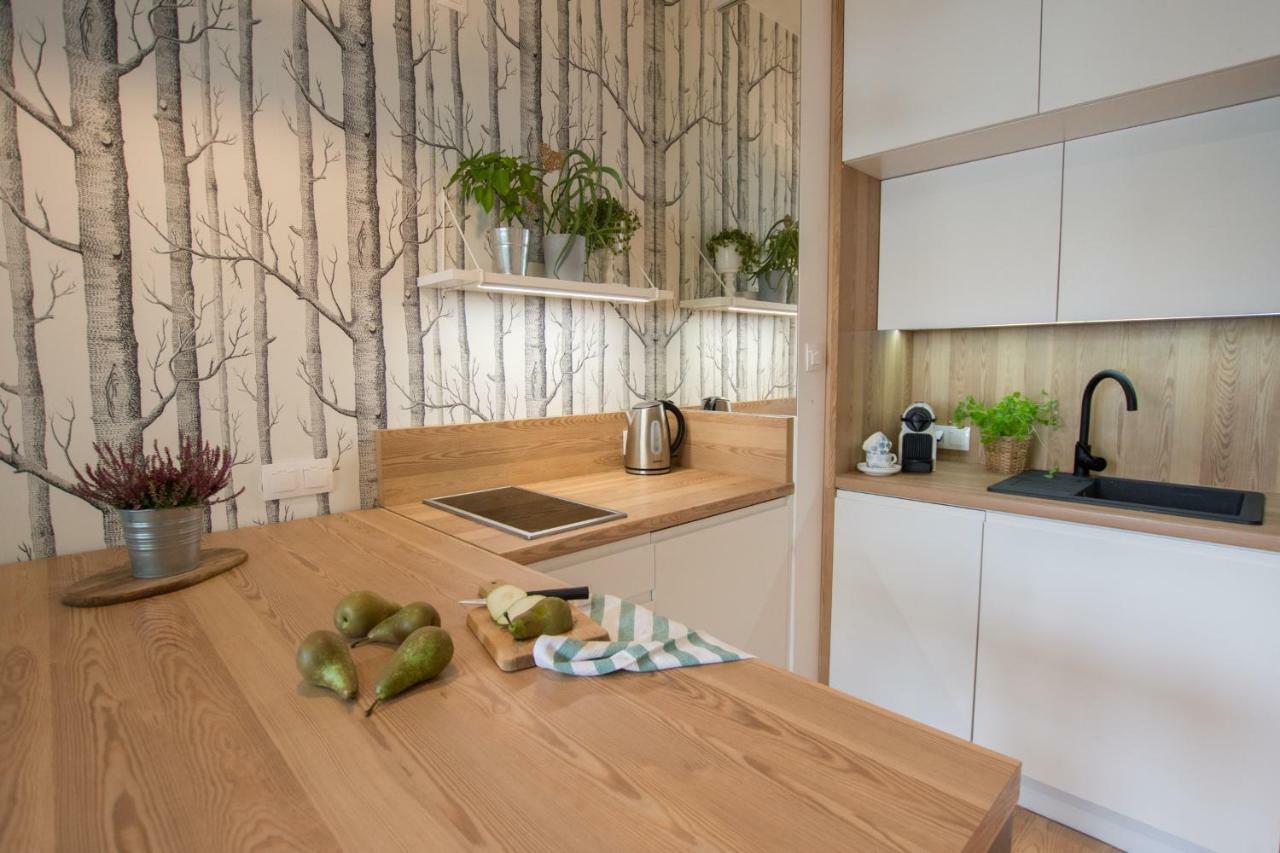 Rakowicka Apartment 크라쿠프 외부 사진
